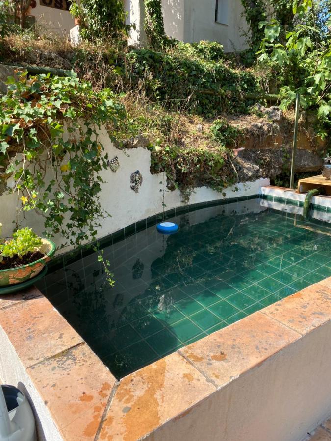 La Mahasiah Villa Puget-sur Argens Eksteriør bilde
